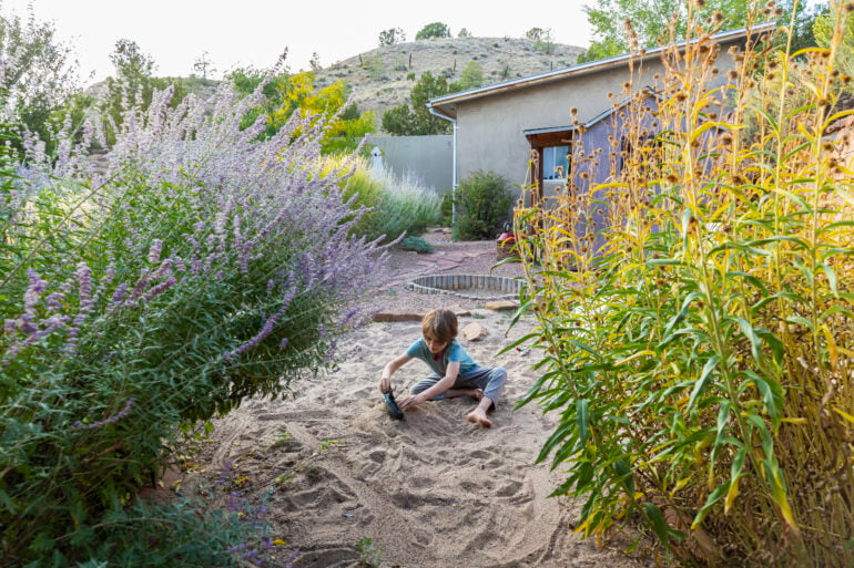 Drought-Tolerant Landscaping Ideas for Homeowners