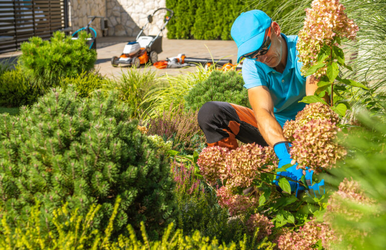 Spring Landscaping: Everything You Need to Know